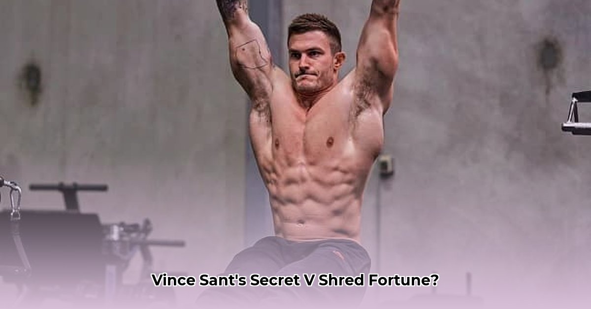 vince-sant-net-worth